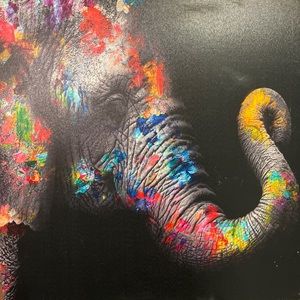 Elephant canvas